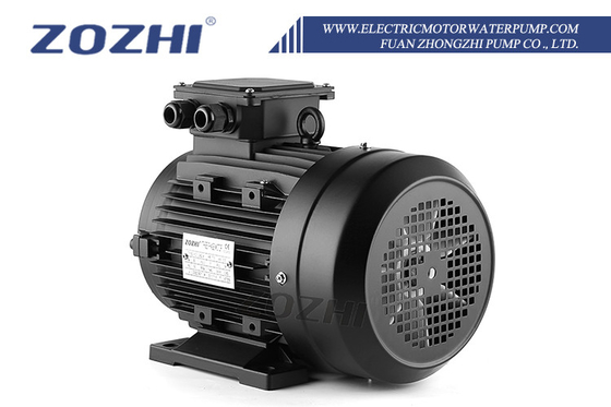 IP55 Protection Class Hollow Shaft Electric Motor with Φ24mm Diameter