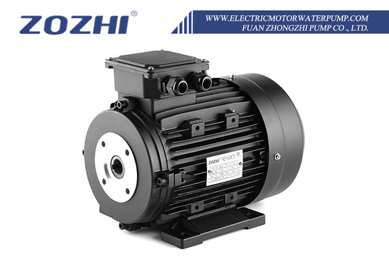 Energy-Saving Hollow Shaft AC Motor With Hawk Pumps And F Insulation Class