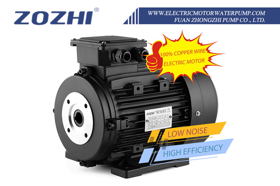 IE1 IE2 IE3 Efficiency Hollow Shaft Motor with ≥3000h Life Span and 8.8A Current