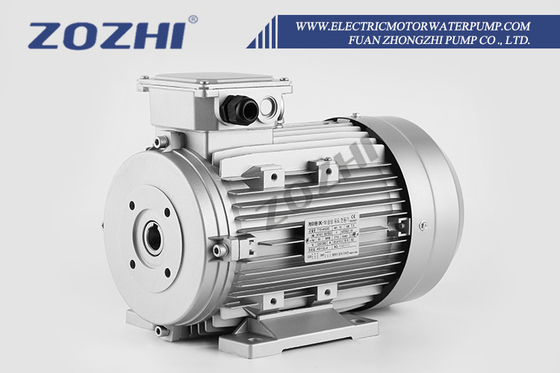 Powerful Cooling Method IC411 Three Phase Hollow Shaft Motor For Heavy Duty Applications