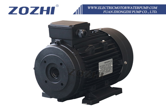 35Kg G.W. Weight Hollow Shaft Motor with Depend On Customer Option and IP55 Protection Class