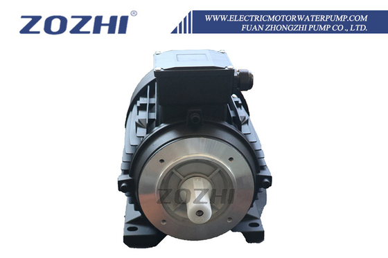 IP23/IP44/IP54 Protection Grade 3 Phase Induction Motor for ≤1000m Altitude and High Humidity Conditions