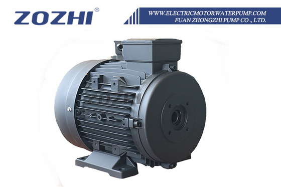IC411 Cooling Method Hollow Shaft Motor for Heavy Duty Applications 8.8A Current Manufactured by ZOZHI Motor