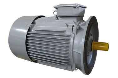 Small Lightweight Electric Three Phase Asynchronous Motor 2 Kw IP54 B Insulation Class