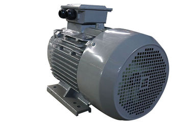 Small Lightweight Electric Three Phase Asynchronous Motor 2 Kw IP54 B Insulation Class