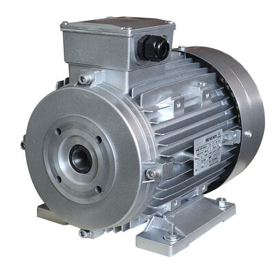 Rated Output 0.12KW 315KW 3 Phase Induction Motor Compatible with Various Voltage Ratings and Industrial Standards