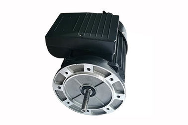 Ac Induction Electric Single Phase Induction Motor For Above Ground Pool Pump / Sauna