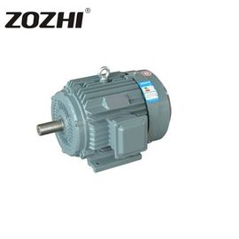 0.55-315KW 4 Pole 3 Phase Induction Motor IC411 Enclosure For Milling Machines