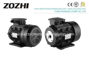 24mm Torque Hollow Shaft Motor  112M2-4 5.5KW 7.5HP With Plunger Pumps 4 Pole