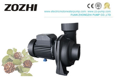 NFM Series Centrifugal Water Pump 1.0hp 1.5hp 2.0hp 3.0hp For Gardening Irrigation