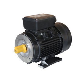 Single Phase Electric Motor Water Pump 1HP 0.75KW 2 Pole 2800RPM Enclosed Capacitor Running