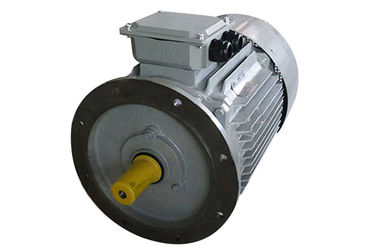 AC Electric 3 Phase Induction Motor IP44 Y2 Series 7.5KW 10HP Driving Application