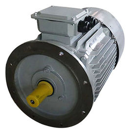 Brushless AC Three Phase Induction Motor 15KW 20HP 380V 400V 3000RPM Y2-160L-4