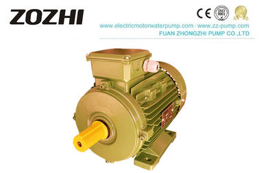 2.2kw 3kw 4kw 5.5kw IE3 Motor , High Efficiency Three Phase Induction Motor IP54 IP55