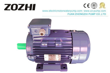 2.2kw 3kw 4kw 5.5kw IE3 Motor , High Efficiency Three Phase Induction Motor IP54 IP55