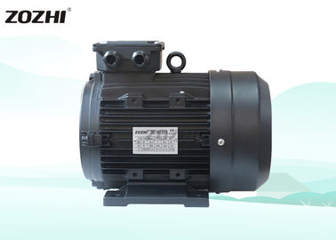 Three Phase Hollow Shaft Motor 4 Pole 24mm Shaft IEC Standard For Interpump