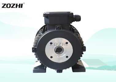 Electric Hollow Shaft Motor 7.5kw/10hp 3 Phase 50Hz B3 Installation For Clean Machine