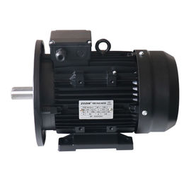 EFF2 Three Phase Electric Motor IP55 AC Induction 2 4 Pole Aluminum