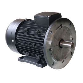 EFF2 Three Phase Electric Motor IP55 AC Induction 2 4 Pole Aluminum