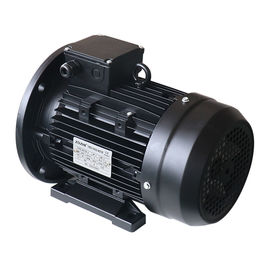 EFF2 Three Phase Electric Motor IP55 AC Induction 2 4 Pole Aluminum