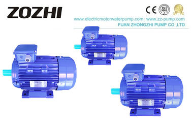 Premium Efficiency IE3 Three Phase Asynchronous Motor