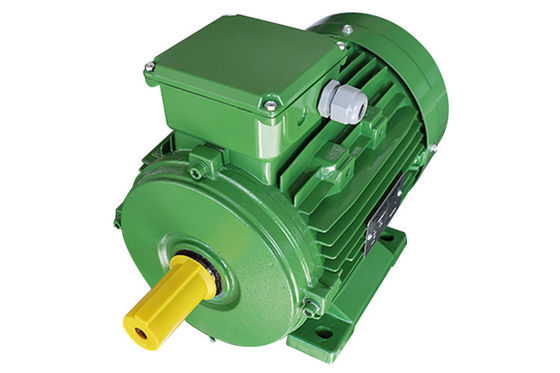 50Hz 3kw 3000rpm Squirrel Cage AC Induction Motor