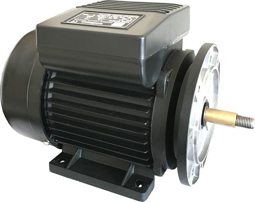 Copper 2800rpm 1.5KW Single Phase Induction Motor MYT711-2