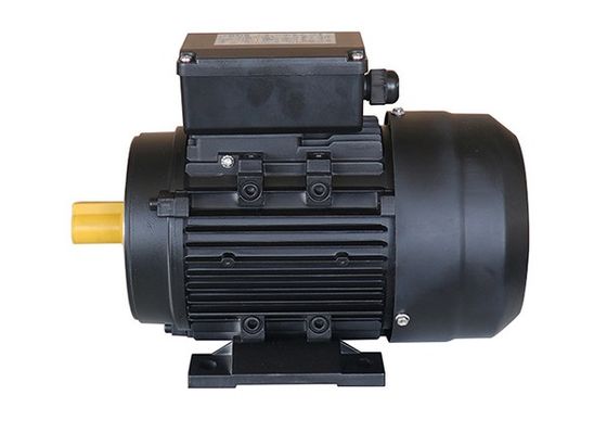 220v 2Hp IP54 Single Phase Asynchronous Induction Motor