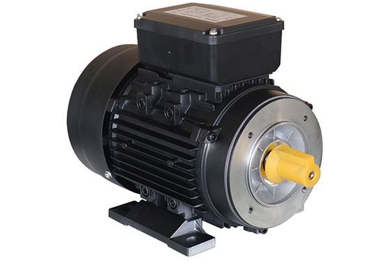 220v 2Hp IP54 Single Phase Asynchronous Induction Motor