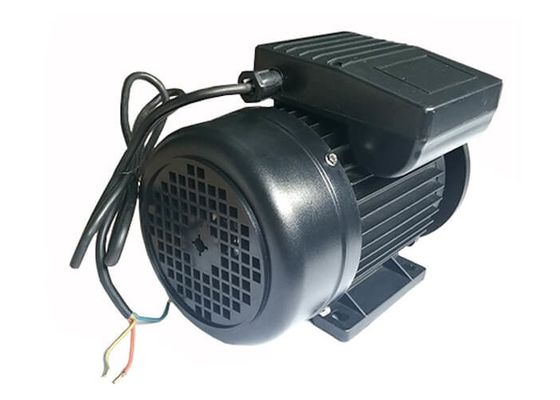 0.25HP 0.18KW IP54 2 Poles Aluminium Asynchronous Motor