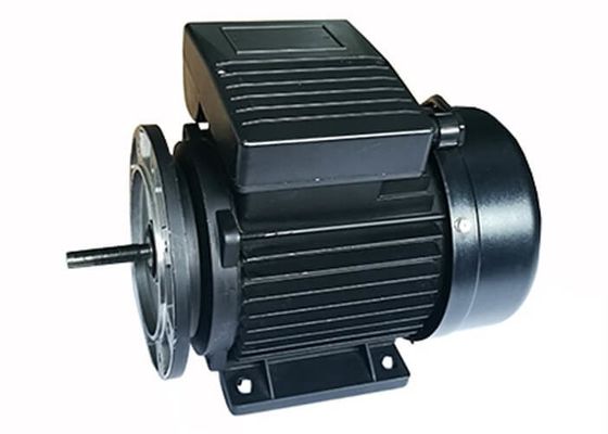 0.25HP 0.18KW IP54 2 Poles Aluminium Asynchronous Motor