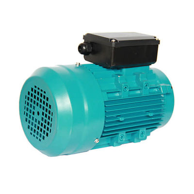 IP55 0.33HP 0.25KW Aluminium Asynchronous Induction Motor