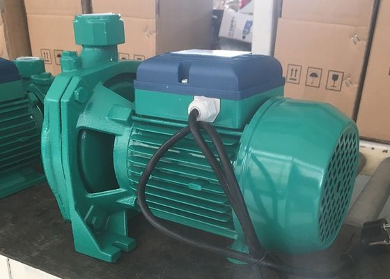 PPO Brass Impeller 0.5HP 0.37KW Centrifugal Water Pump