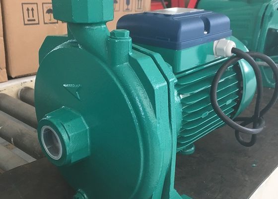 PPO Brass Impeller 0.5HP 0.37KW Centrifugal Water Pump