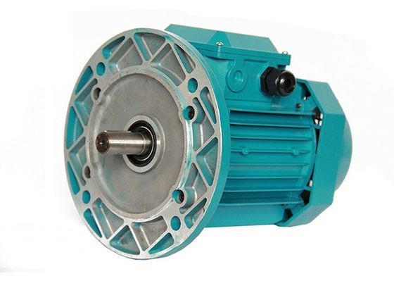 Aluminum 2930rpm 13.5Kw 3 Phase Ac Motor MS160M1-2