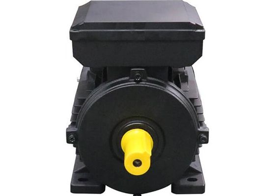 0.37KW IP54 3hp AC Asynchronous Motor Centrifugal Switch