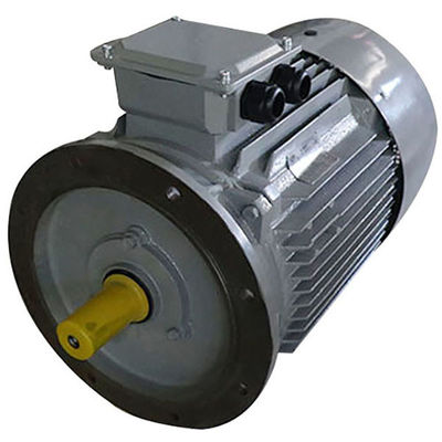 Square Cage 0.75kw 1Hp Eff1 Eff2 Three Phase Induction Motor