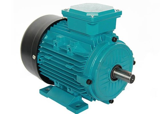 IP55 ICO141 Cooling 22KW 30HP 3 Phase Induction Motor