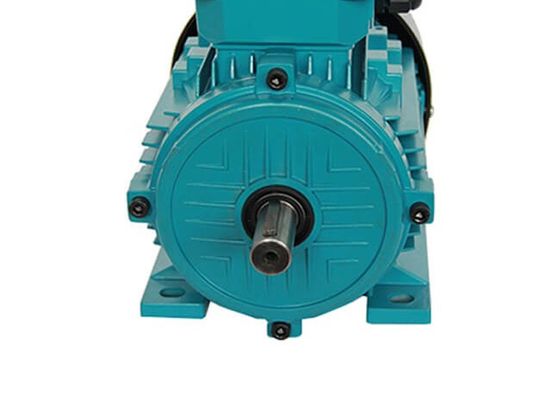 IP55 ICO141 Cooling 22KW 30HP 3 Phase Induction Motor