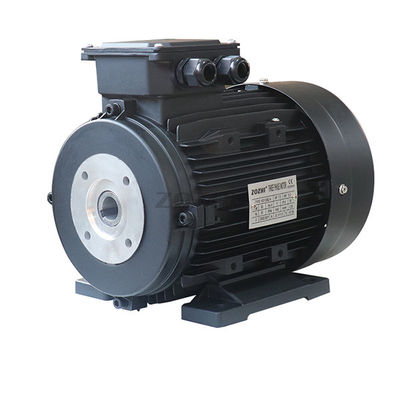 IC411 8.8A Hollow Shaft Motor With 35Kg Weight F Insulation Class
