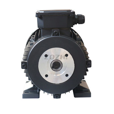 3 Ph Hollow Shaft Electric Motor Life Span ≥3000h And Long-lasting Performance