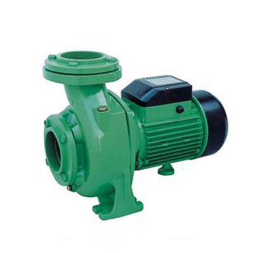 domestic water pumps types