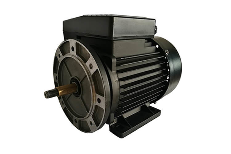 Design of single phase capacitor start induction motor