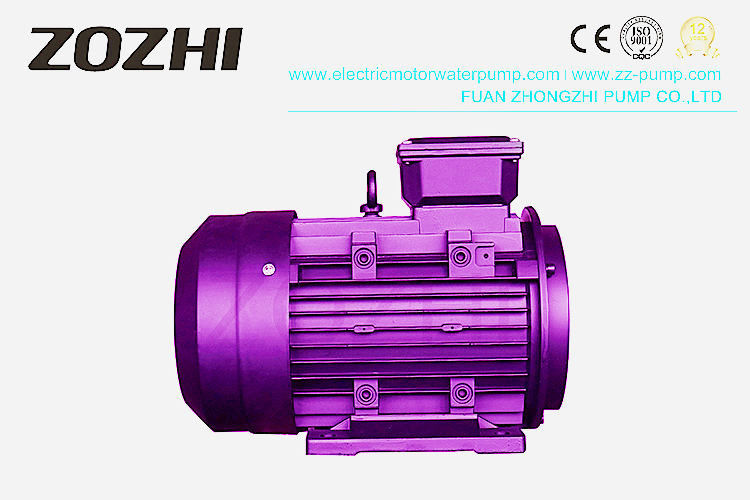 Horizontal Type Hollow Shaft Motor 3HP 2.2KW HS90L22 With Solid Structure