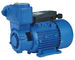 Precision Casting Motor Housing Domestic Electronic Water Pump 1HP/0.75KW TPS  Series