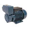 TPS Domestic Electric Motor Self Priming Water Pump For Greenhouse Area1HP / 0.75KW
