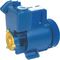 Self Priming Domestic Electric Water Pumps  GP-200 0.32HP For Household Area