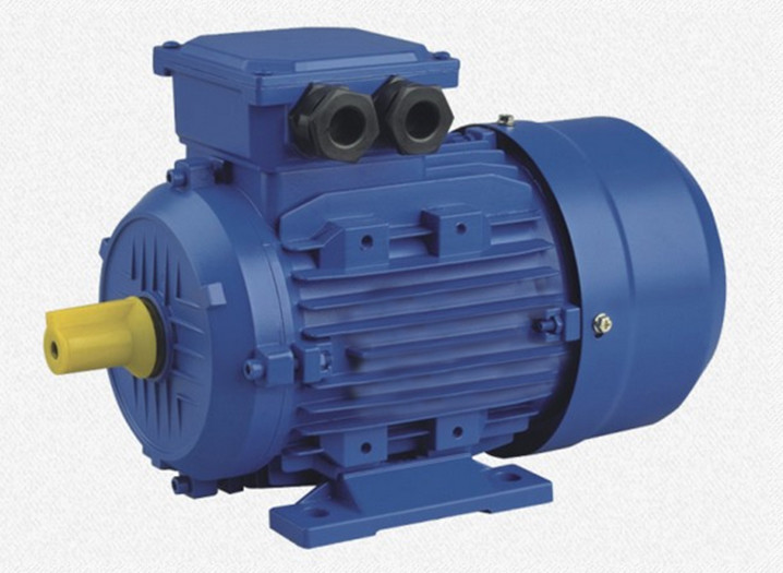MS Series 3 Phase 4 Pole Electric Induction Motor / Squirrel Cage ...