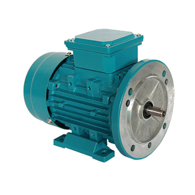IE3 High Efficiency Aluminum Three Phase Induction AC Electric Motor