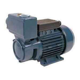 TPS Domestic Electric Motor Self Priming Water Pump For Greenhouse Area1HP / 0.75KW